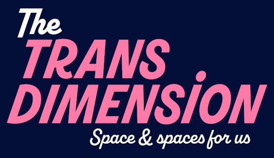 Trans Dimension Logo